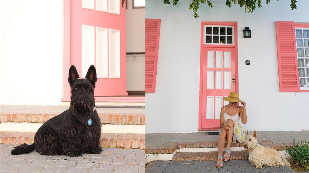 Drostdy Hotel Graaff-Reinet Kültér fotó Scottie dogs